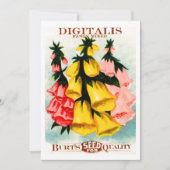 分類されたジギタリスのFoxgloveの種の包み 招待状 (正面)