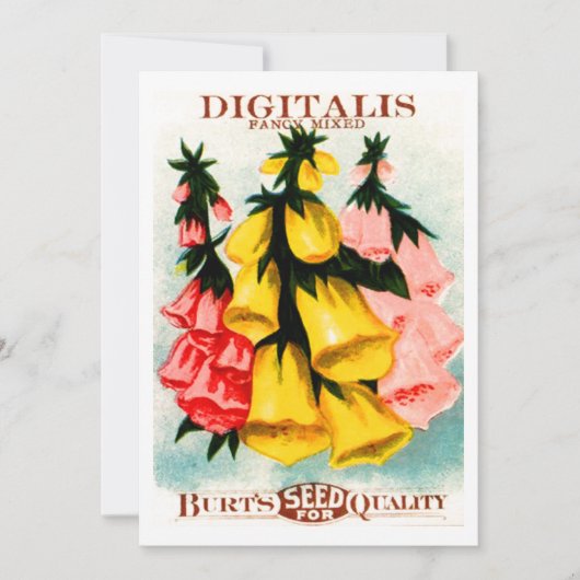 分類されたジギタリスのFoxgloveの種の包み 招待状 (正面)