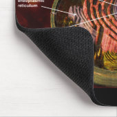 分類されたヒト細胞 マウスパッド (コーナー)