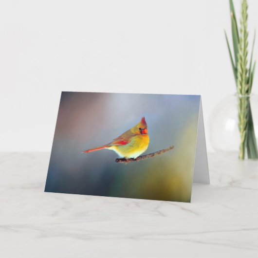 分類されたメッセージカード カード (正面)