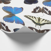 分類された蝶 ラッピングペーパー (角)