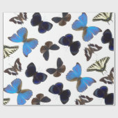 分類された蝶 ラッピングペーパー (フラット)