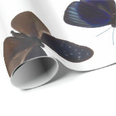 分類された蝶 ラッピングペーパー (ロールコーナー)