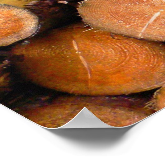 切った丸太 ポスター (角)