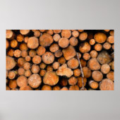 切った丸太 ポスター (正面)