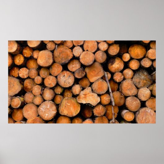 切った丸太 ポスター (正面)