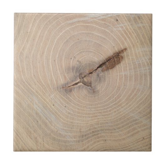 切られた木のクローズアップの年次リングや輪の平面図 タイル (正面)