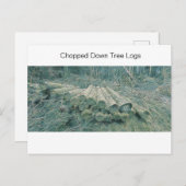 切り倒された木の丸太 シーズンポストカード (正面/裏面)
