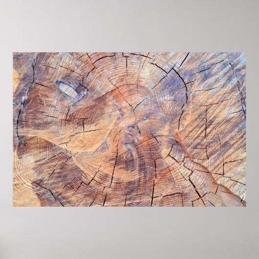 切り傷の木。木材を森に詰める。テクスチャ ポスター (正面)