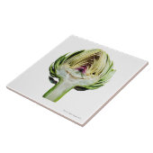 切り取られる地球アーティチョークの半分 タイル (側面)