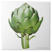 切り取られる白い背景の地球アーティチョーク タイル (正面)