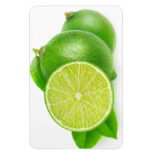 切り取りライム マグネット (縦)