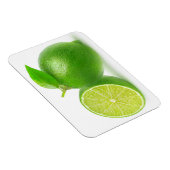 切り取りライム マグネット (右側)