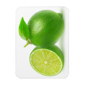 切り取りライム マグネット (縦)