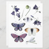 切り取り、コラージュする水彩蝶 (正面/裏面)