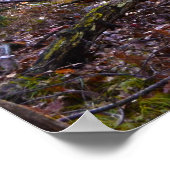 切り株にスポットライトを当てる ポスター (角)