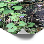 切り株に干したキノコと花 ポスター (角)