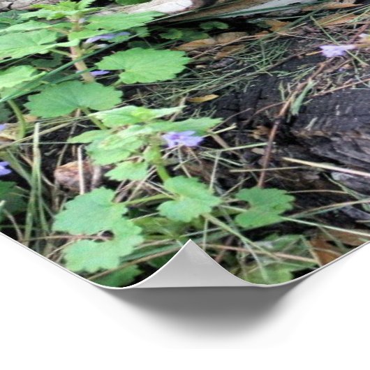 切り株に干したキノコと花 ポスター (角)