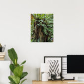 切り株に生える濃いシダの植物画 ポスター (ホームオフィス)