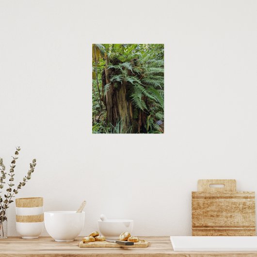 切り株に生える濃いシダの植物画 ポスター (キッチン)
