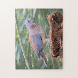 切り株に美しいセネガルの鳩 ジグソーパズル