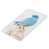 切り株に美しい山のブルーバード マグネット (左側)