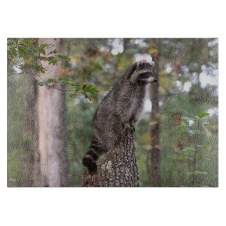 切り株のまな板のアライグマ カッティングボード