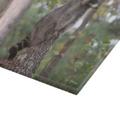 切り株のまな板のアライグマ カッティングボード (角)