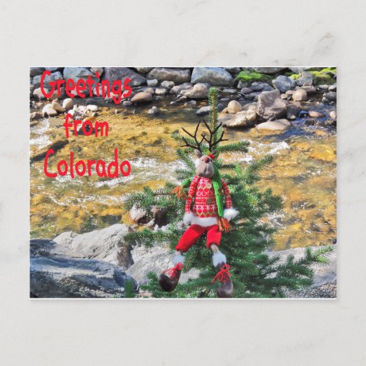 「切り株のクリスマス」はがき シーズンポストカード (正面)