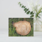 切り株の切れ端 ポストカード (スタンド正面)