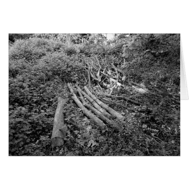 切り株 (正面横)