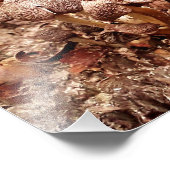 切り株 フォトプリント            (角)