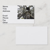 切り株 名刺 (正面/裏面)