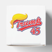 切り株–45 – ヘア付き フェイバーボックス (上部)