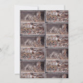 切り株CEKC 招待状 (裏面)