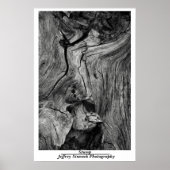 切り ポスター (正面)