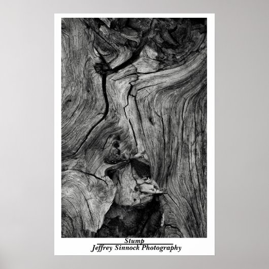 切り ポスター (正面)