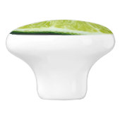 切れのライムの食器棚のノブ セラミックノブ (側面)