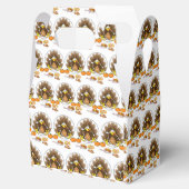 切妻の優先ボックス フェイバーボックス (オープン)