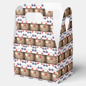 切妻の優先ボックス フェイバーボックス (オープン)