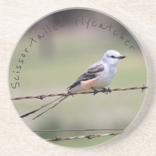 切後につかれたFlycatcherのコースター コースター (正面)