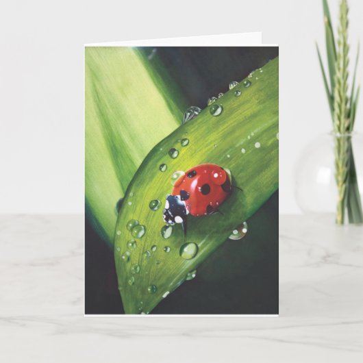 刈られた草カードに雨 カード (正面)