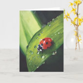 刈られた草カードに雨 カード (黄色い花)