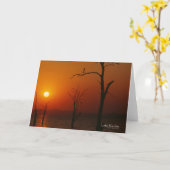 刈羽湖 カード (黄色い花)