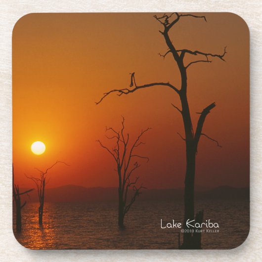 刈羽湖 コースター (正面)