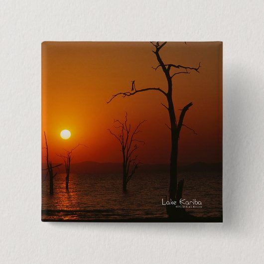 刈羽湖 缶バッジ (正面)