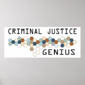 刑事司法天才 ポスター (正面)