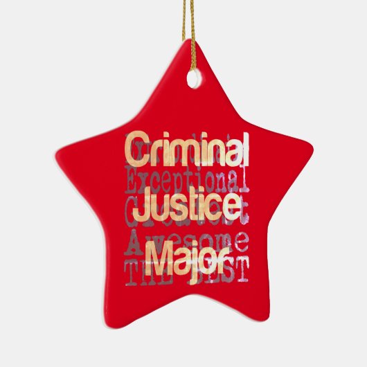 刑事裁判専攻の法外 セラミックオーナメント (右)