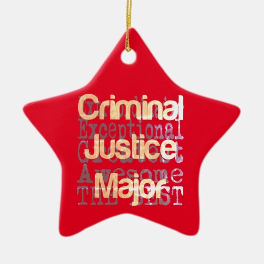 刑事裁判専攻の法外 セラミックオーナメント (正面)