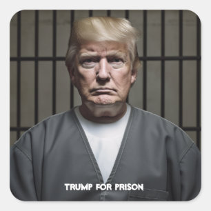 刑務所のトランプのためにトランプ スクエアシール